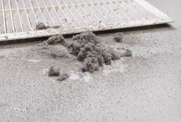 Best Emergency Air Duct Cleaning  in Nikiski, AK