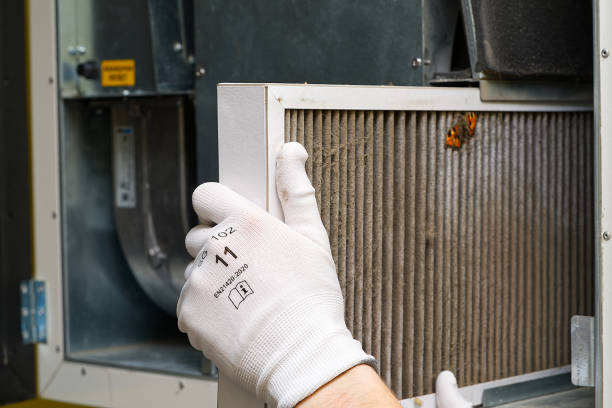 Best Air Quality Test  in Nikiski, AK